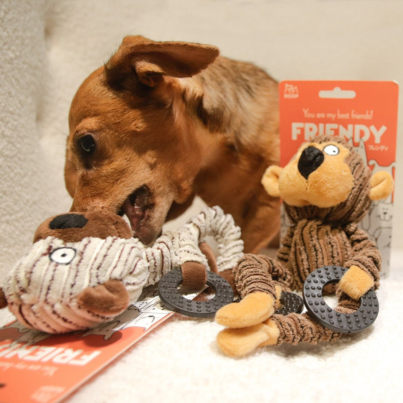 ROOP 狗狗耐咬發聲玩具