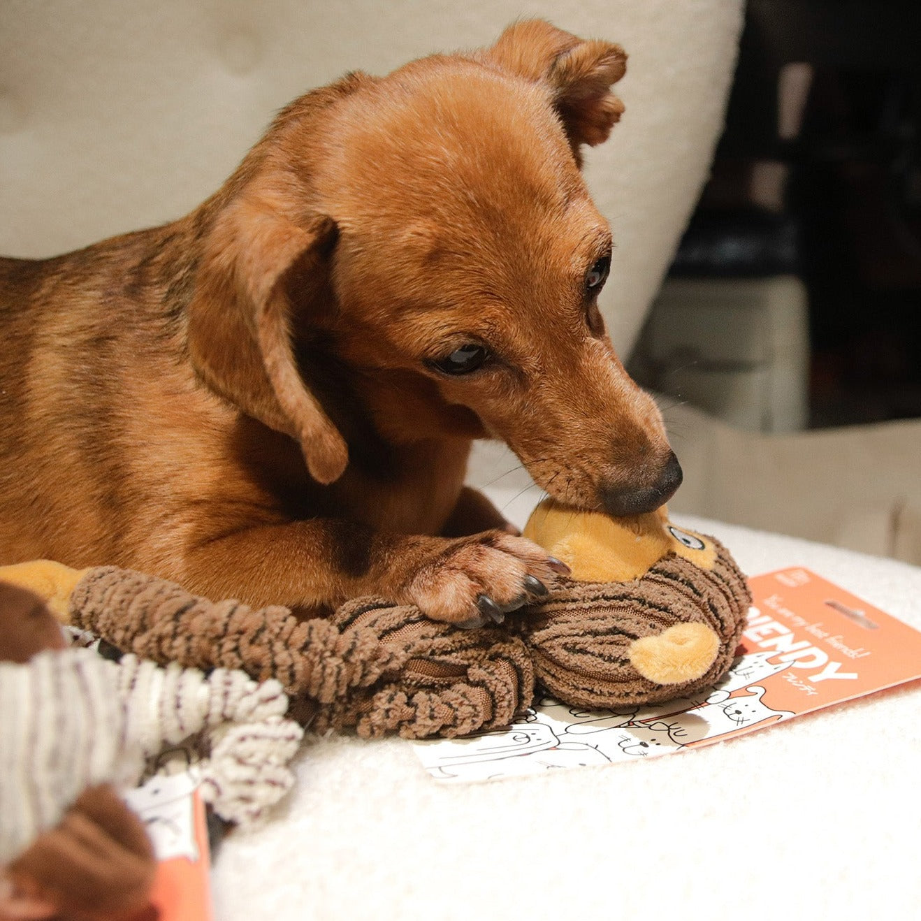 ROOP 狗狗耐咬發聲玩具