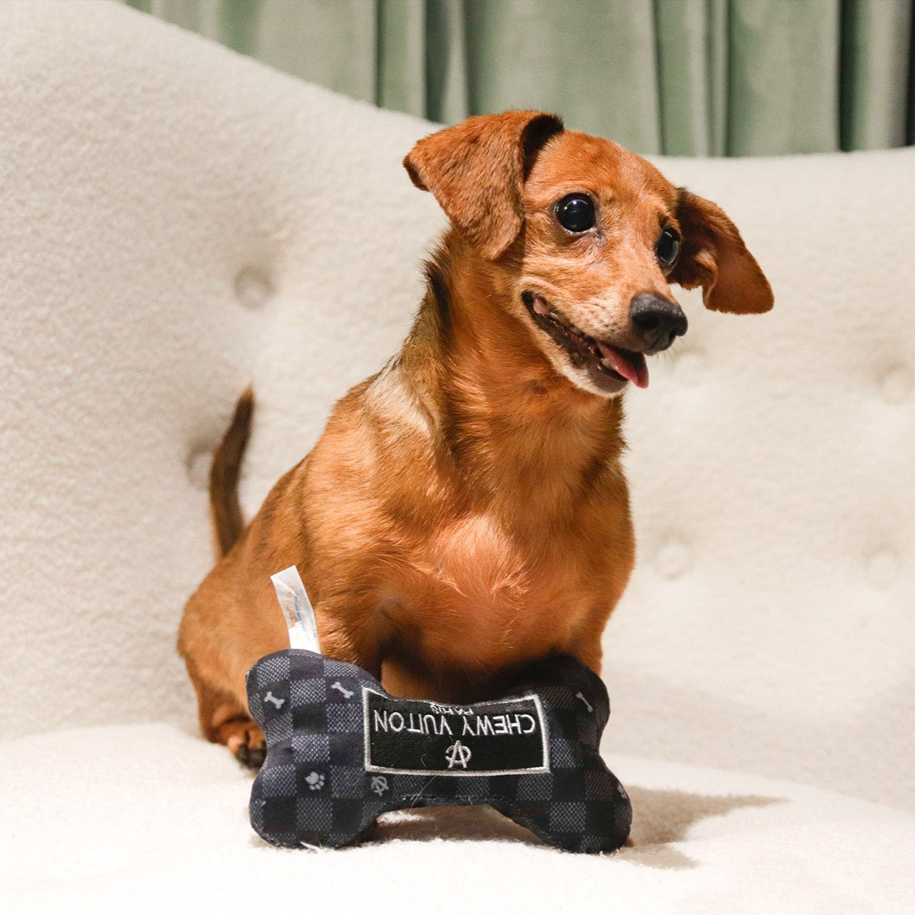 Haute Diggity Dog 狗狗精品發聲玩具-LV黑色格紋系列