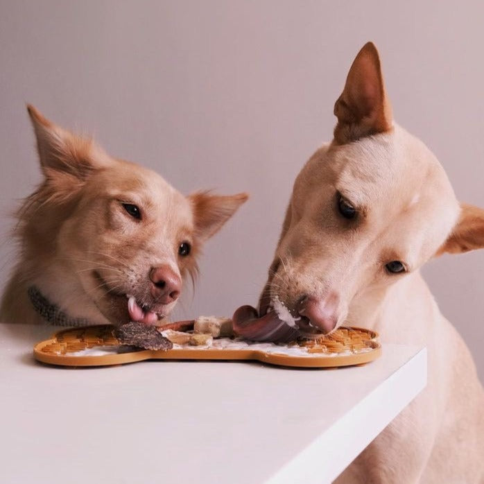 OMOM 寵物舔食墊-狗骨頭 入門款