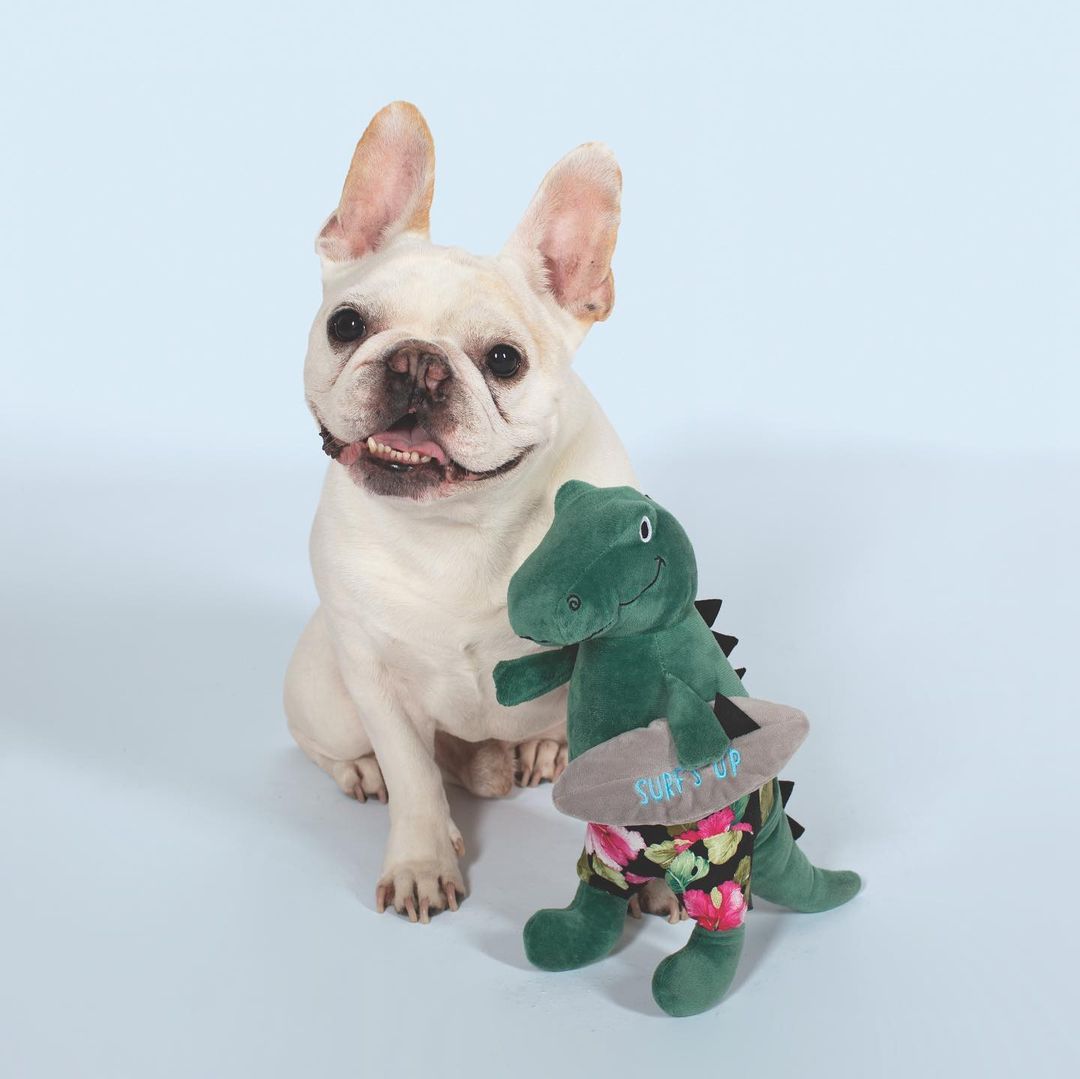 PetShop by Fringe Studio 狗狗發聲玩具-變裝暴龍系列