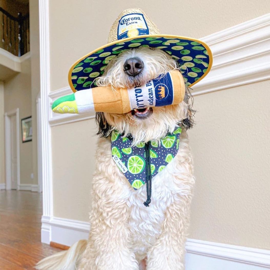 Haute Diggity Dog 狗狗酒瓶發聲玩具