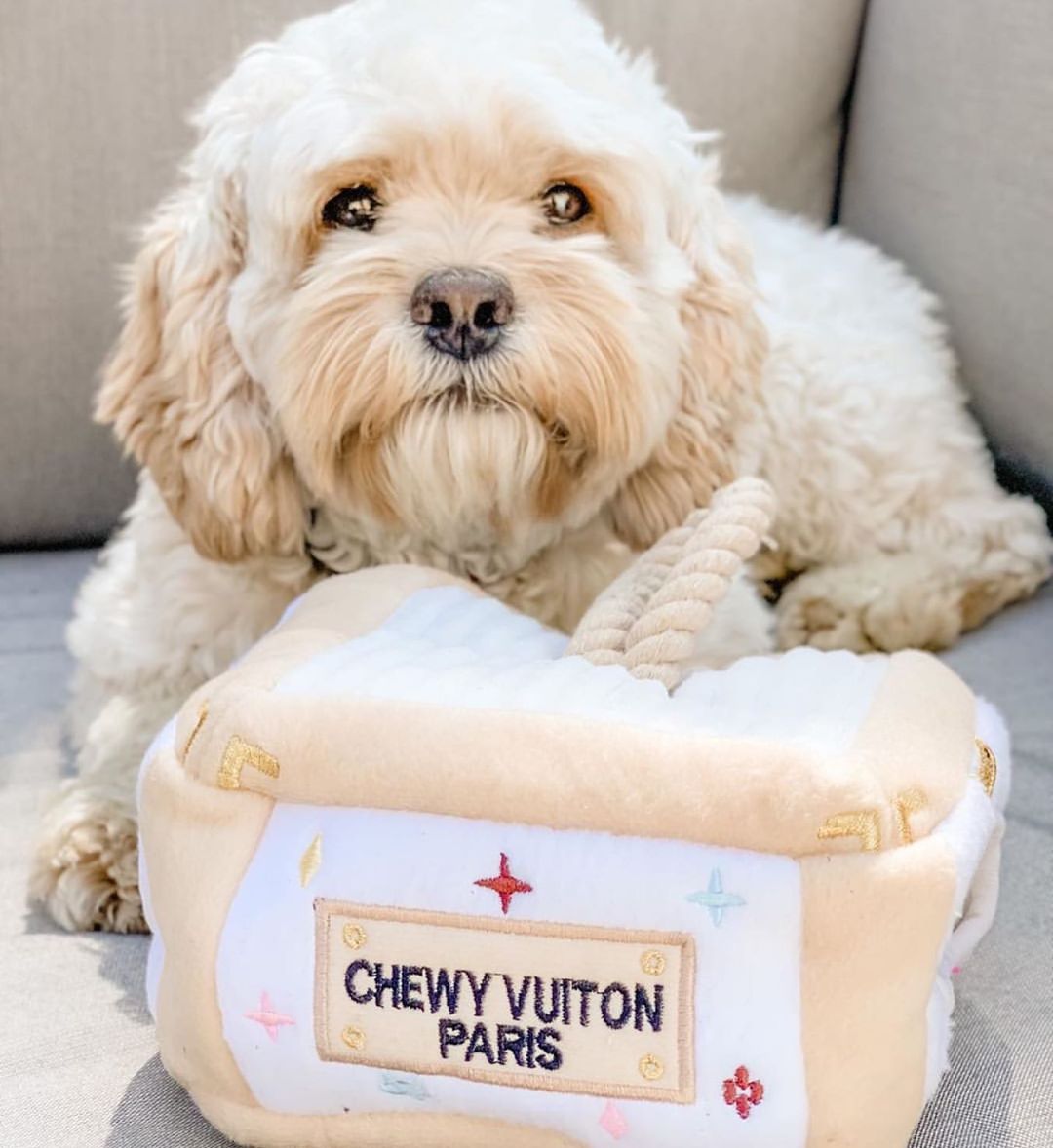 Haute Diggity Dog 狗狗藏食玩具箱