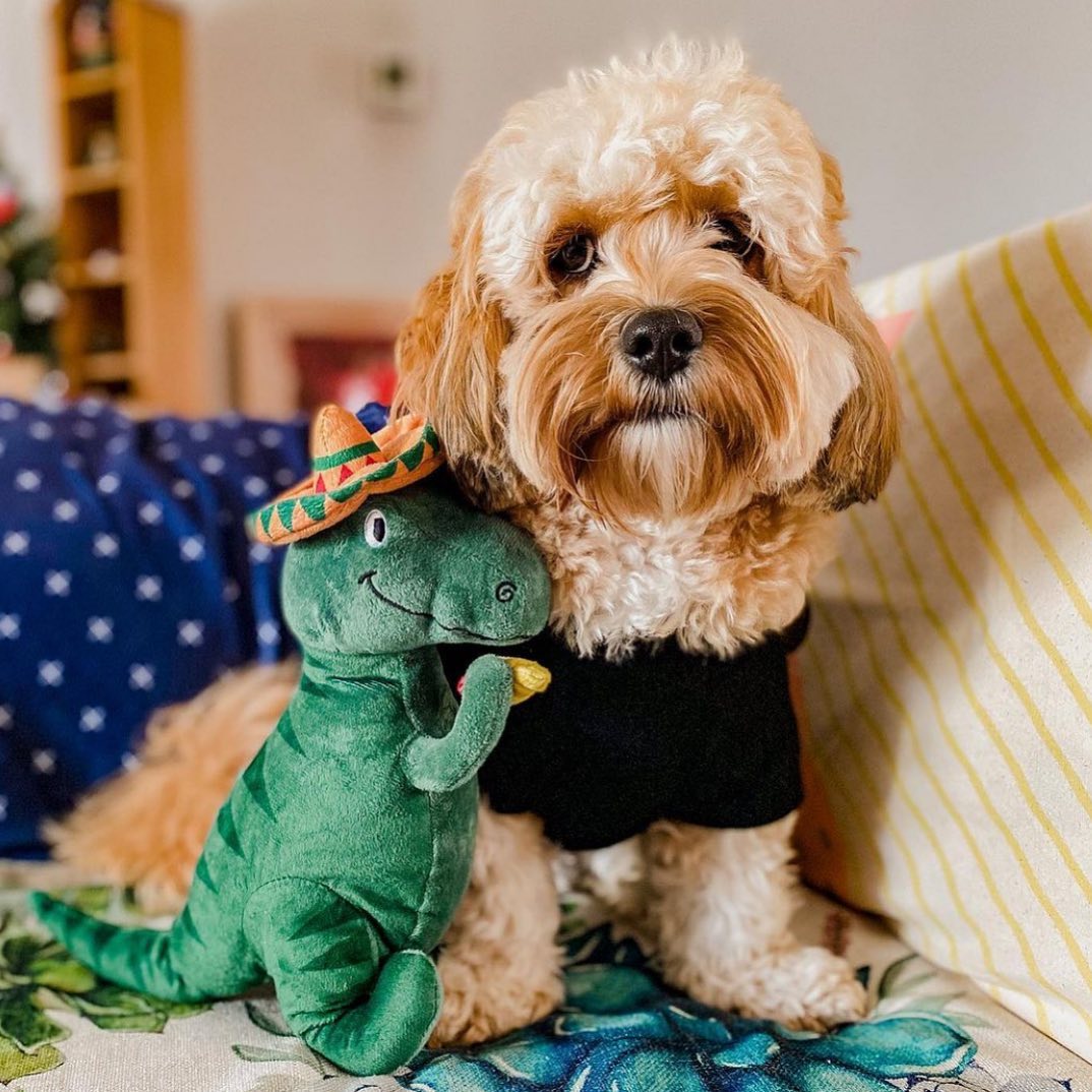 PetShop by Fringe Studio 狗狗發聲玩具-變裝暴龍系列