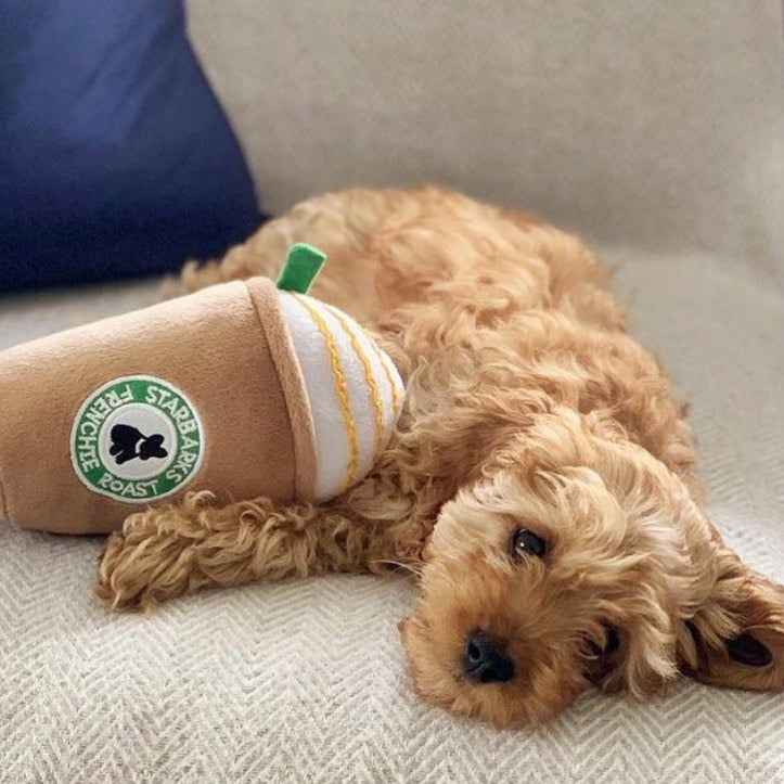 Haute Diggity Dog 狗狗酒瓶發聲玩具