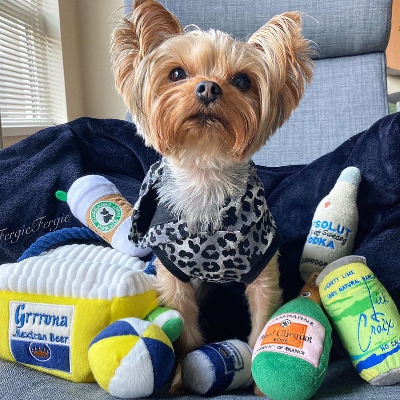 Haute Diggity Dog 狗狗藏食玩具箱