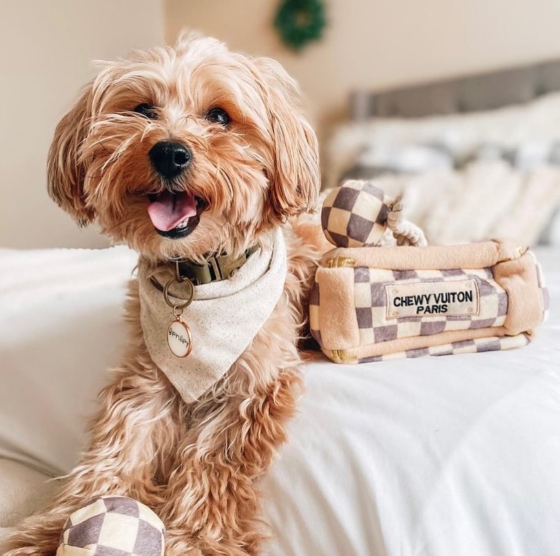 Haute Diggity Dog 狗狗藏食玩具箱