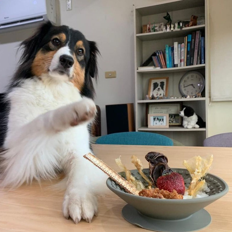 OMOM 寵物舔食碗