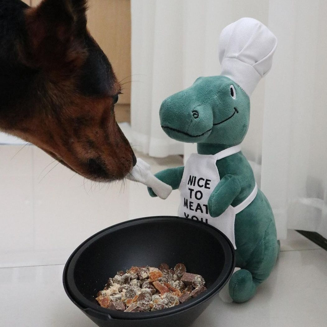 PetShop by Fringe Studio 狗狗發聲玩具-變裝暴龍系列