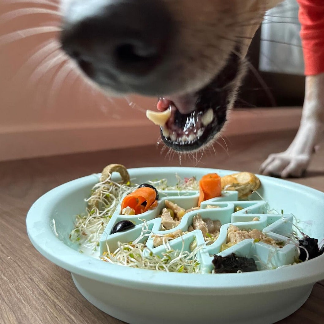 OMOM 慢舔食兩用碗-烘培薑餅人