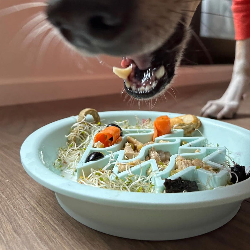 OMOM 慢舔食兩用碗-雪夜聖誕樹