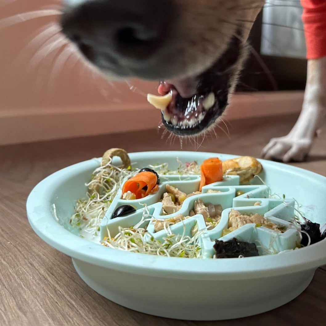 OMOM 慢舔食兩用碗-聖誕老公公