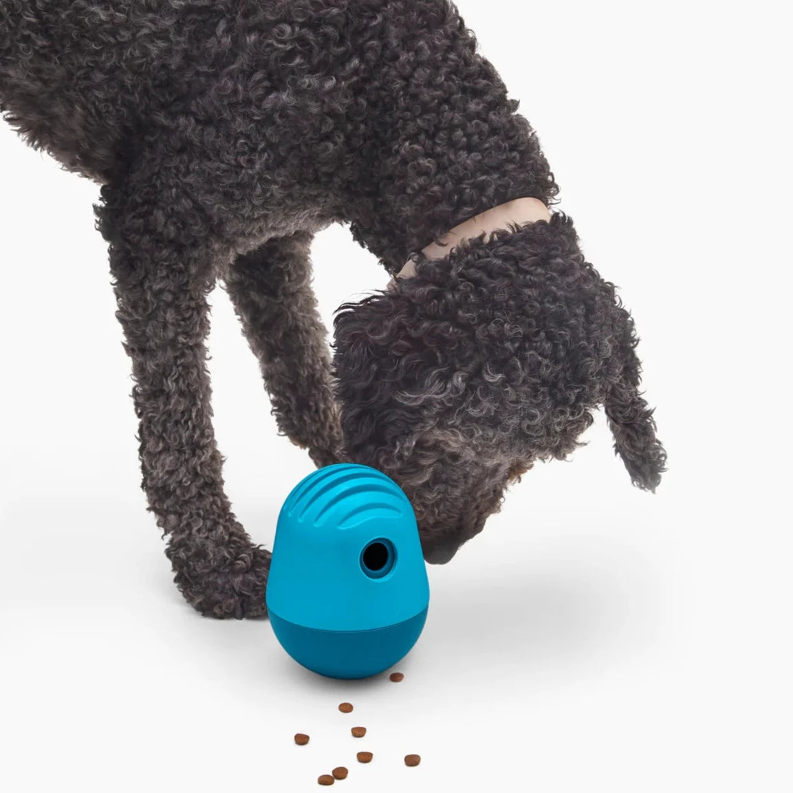 Fable 狗狗益智漏食玩具-不倒翁(The Game)