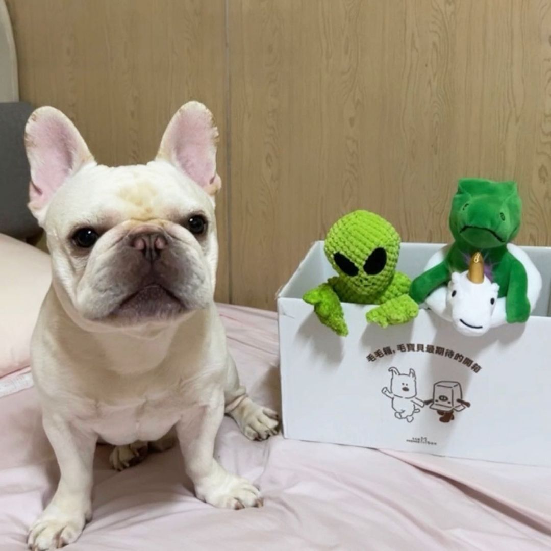 Fabdog 狗狗陪伴玩具