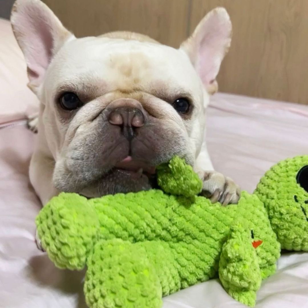 Fabdog 狗狗陪伴玩具