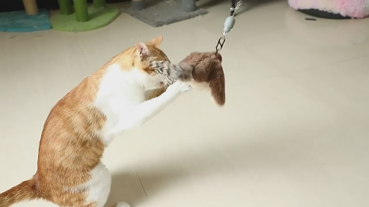 貓咪玩具 | 電動抖抖鳥