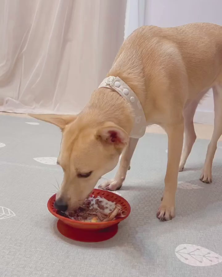 OMOM 寵物舔食碗