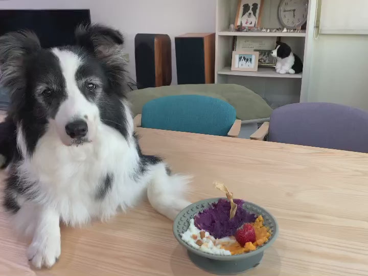 OMOM 寵物舔食碗