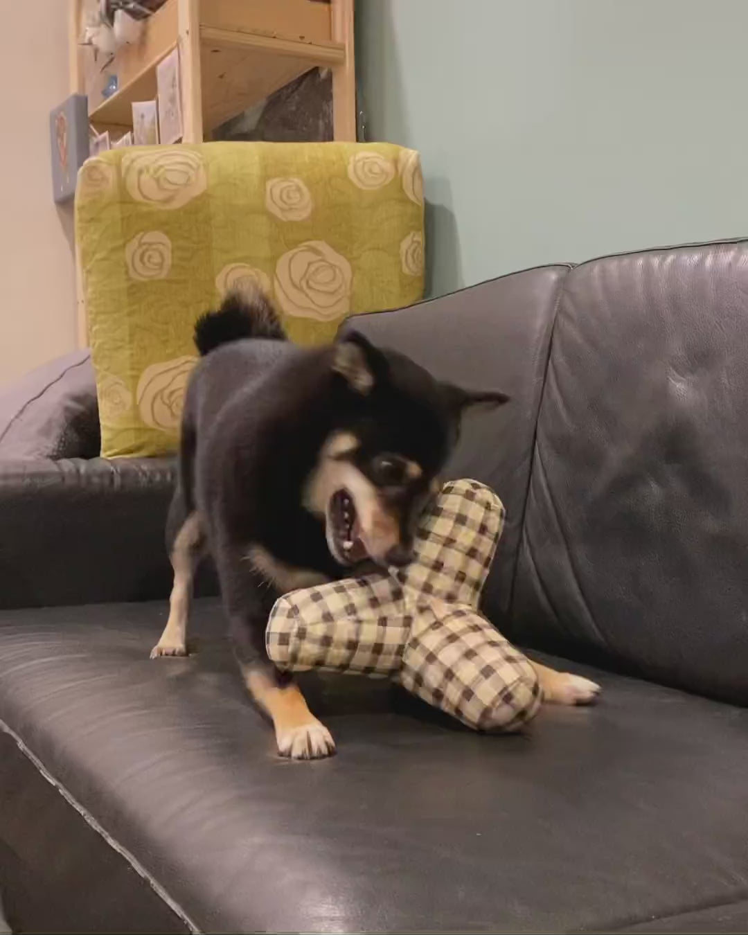 PetShop by Fringe Studio 狗狗響紙發聲玩具-耐咬消波塊