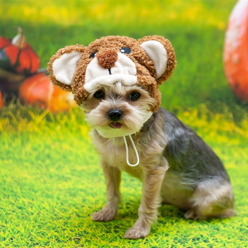 DOGO Pet Fashions 狗狗造型帽