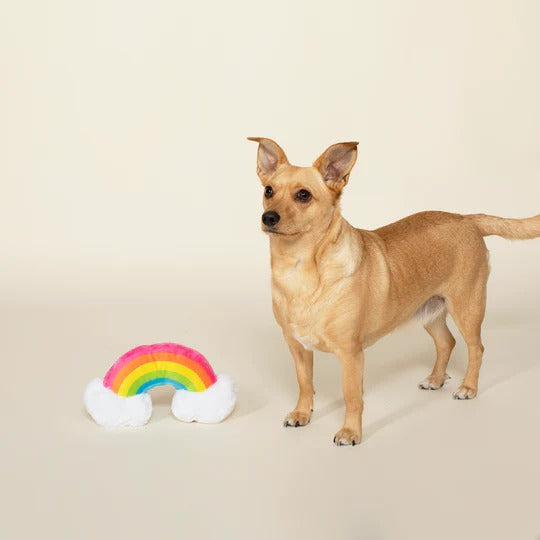 PetShop by Fringe Studio 狗狗發聲玩具-幸福彩虹